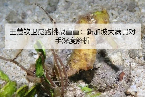 wang-chu-qin-wei-mian-lu-tiao-zhan-chong-chong-xin-jia-po-da-man-guan-dui-shou-shen-du-jie-xi-2-147.jpg