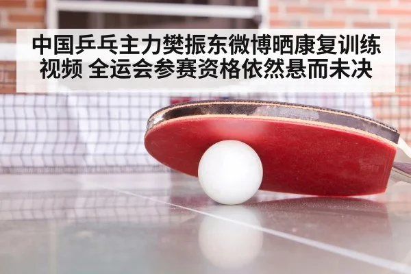 中国乒乓主力樊振东微博晒康复训练视频 全运会参赛资格依然悬而未决