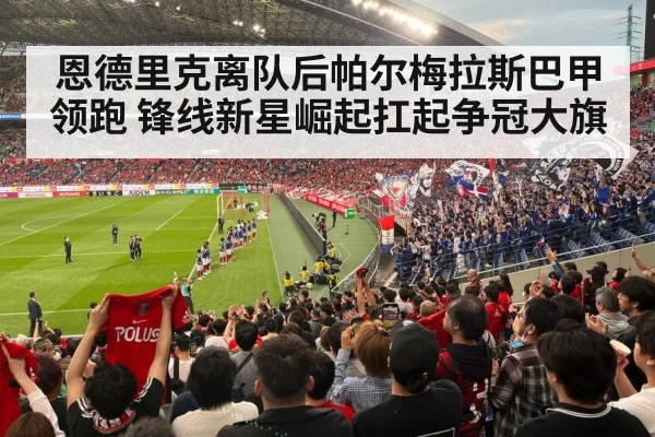 football stadium fans